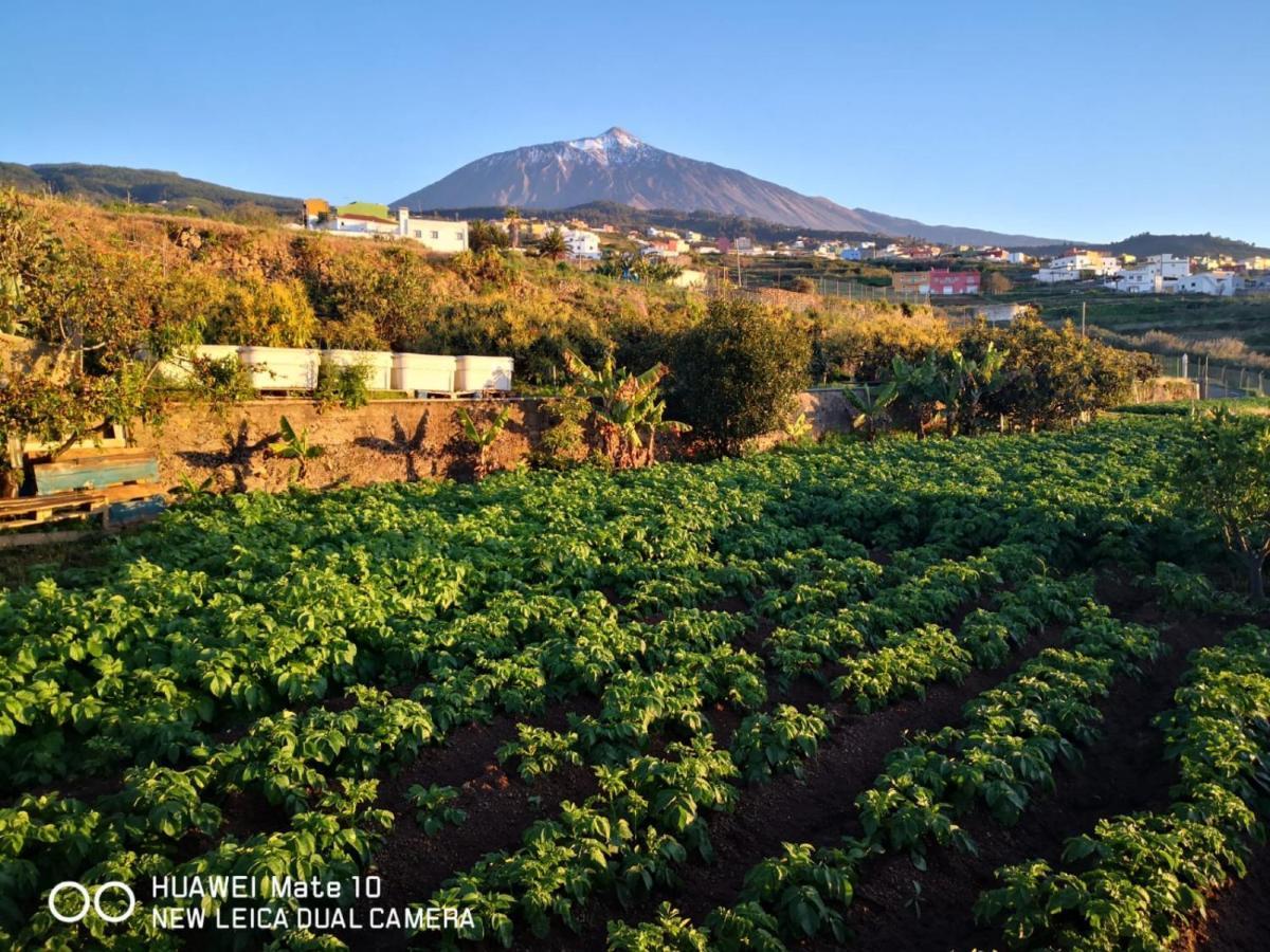 Finca Los Angeles San Juan de la Rambla Exteriör bild